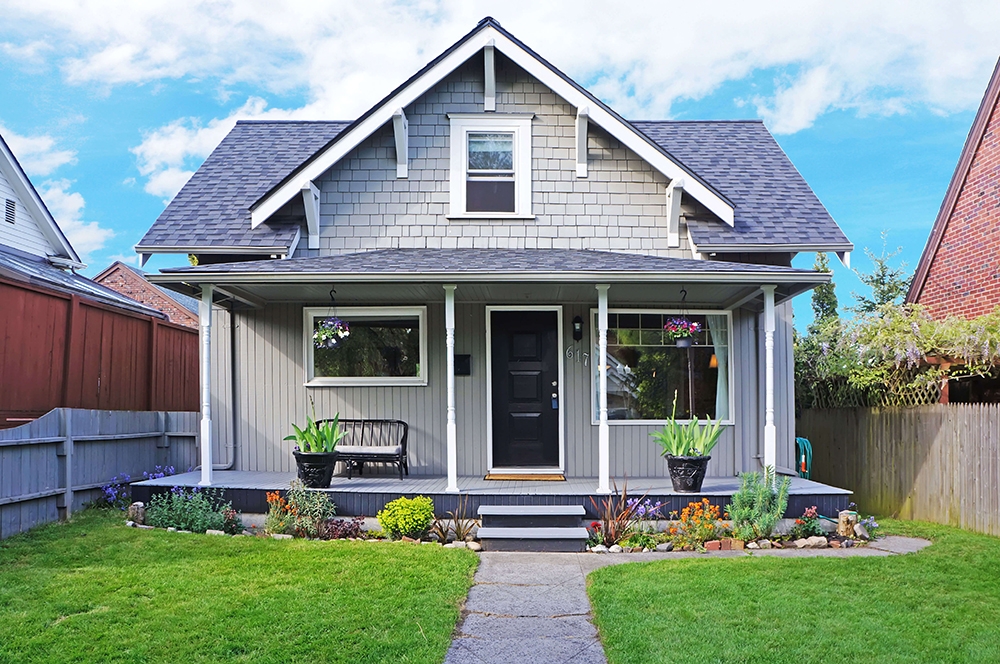 pest free control